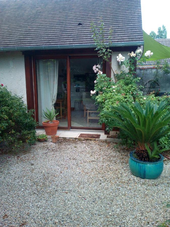 L'Orme Seul, Maison D'Hotes Vineuil  Kültér fotó