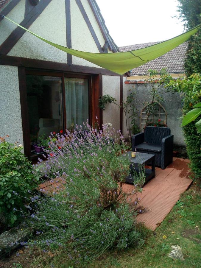 L'Orme Seul, Maison D'Hotes Vineuil  Kültér fotó