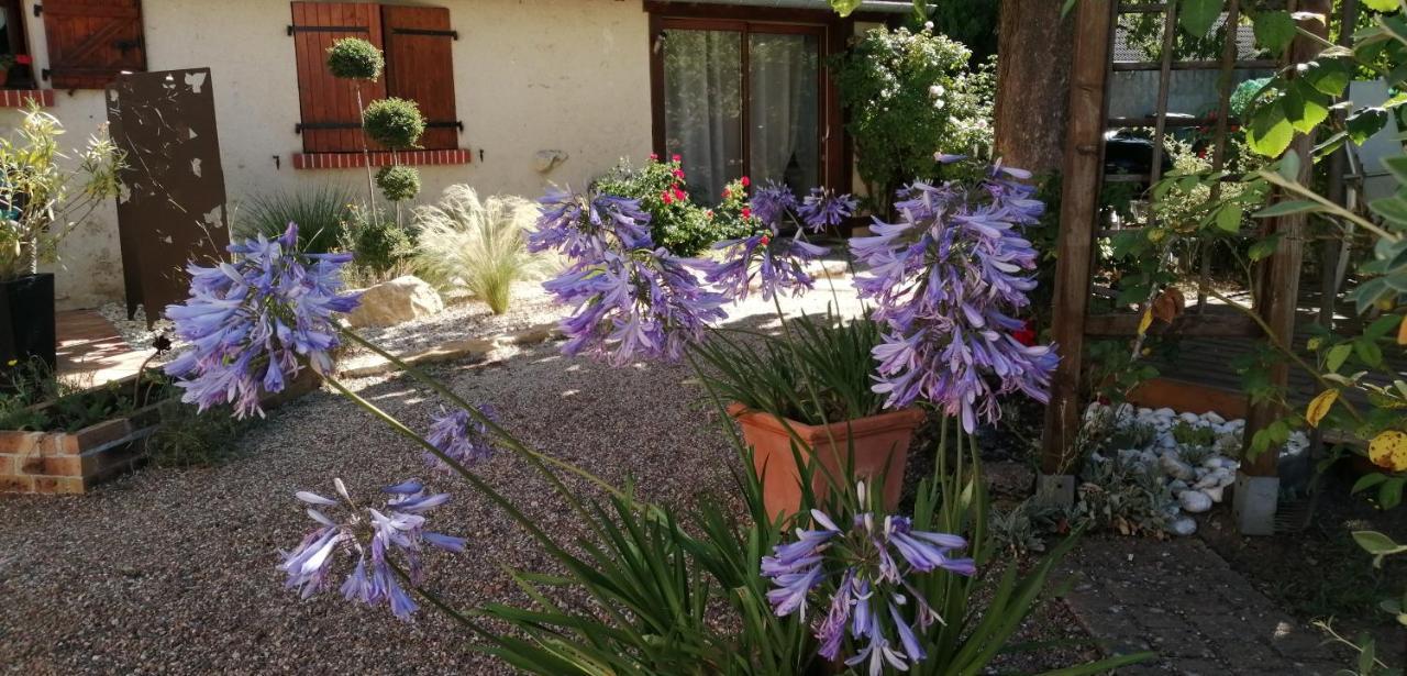 L'Orme Seul, Maison D'Hotes Vineuil  Kültér fotó