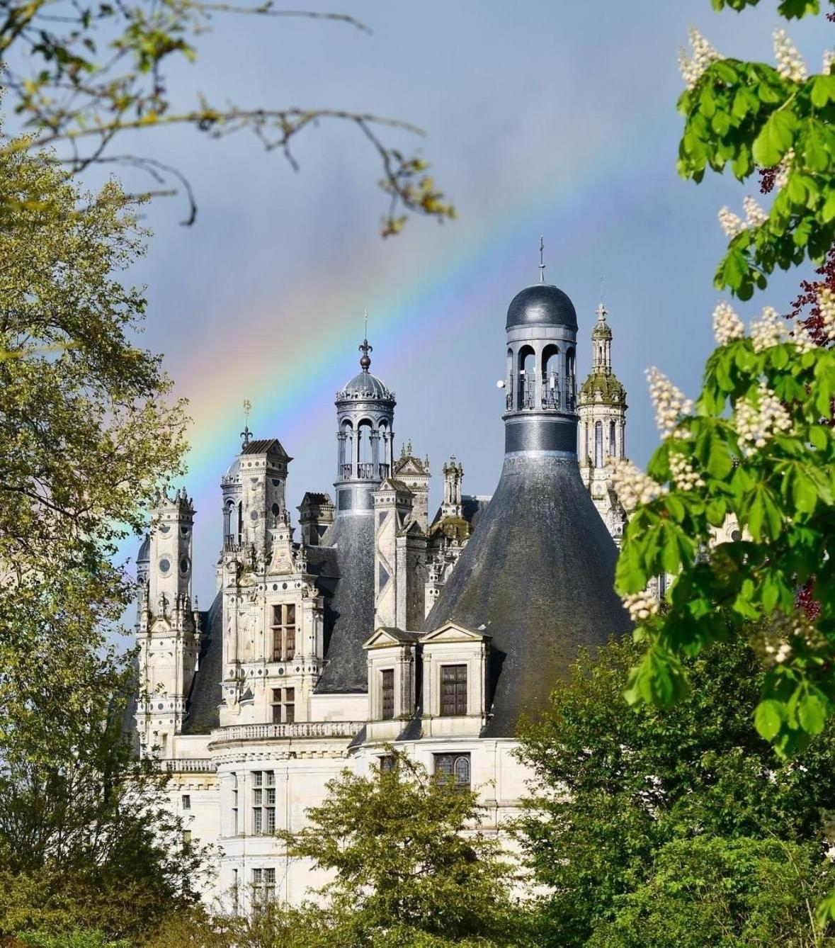L'Orme Seul, Maison D'Hotes Vineuil  Kültér fotó