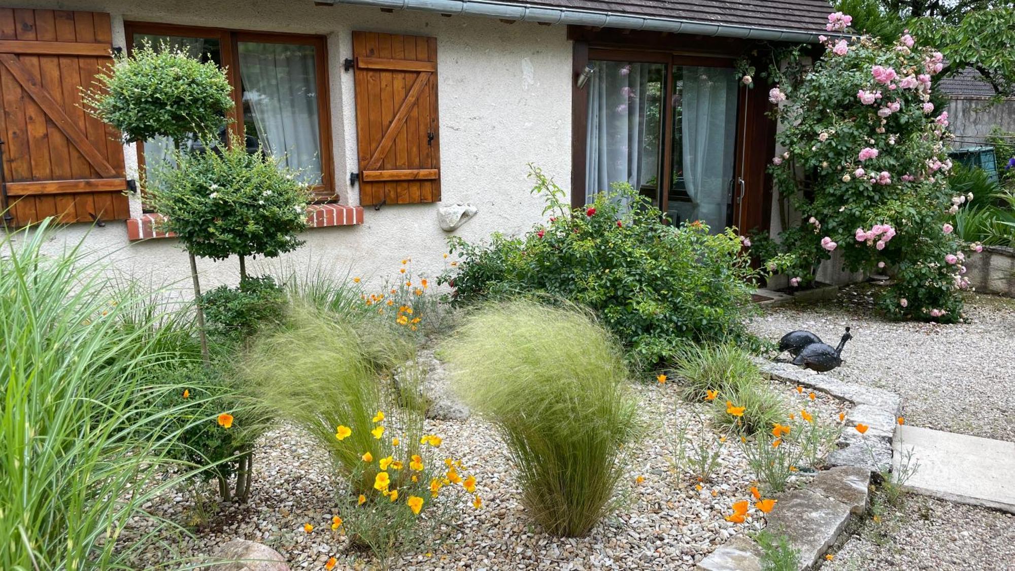 L'Orme Seul, Maison D'Hotes Vineuil  Kültér fotó